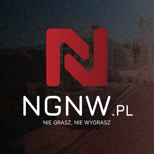 NGNW.pl logo