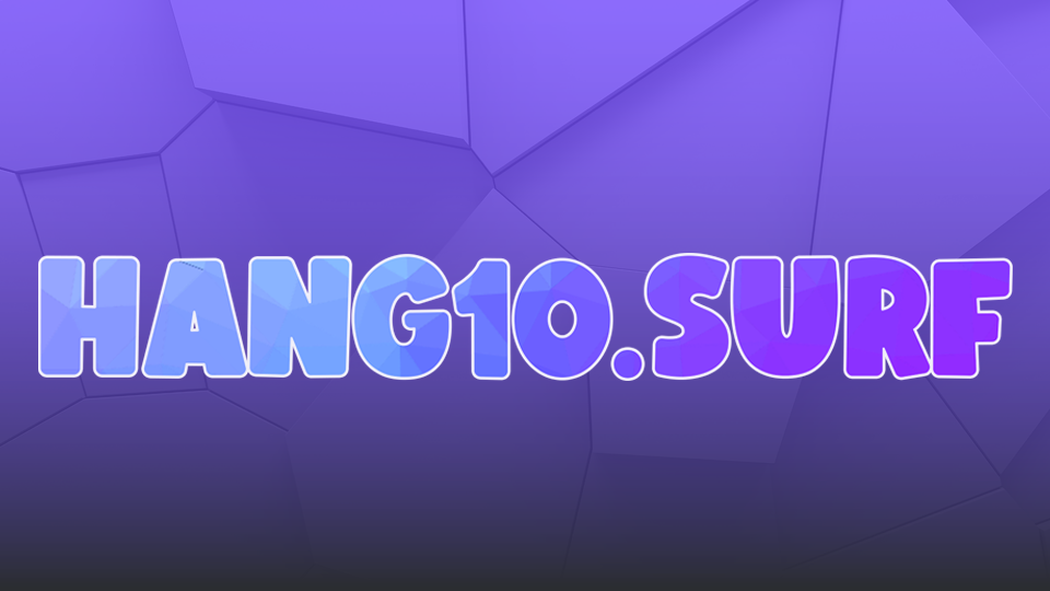 Hang10 Surf banner